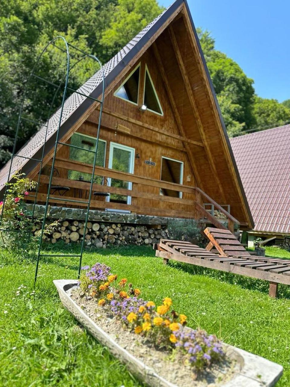 Rucăr Cabanutze Satic 빌라 외부 사진
