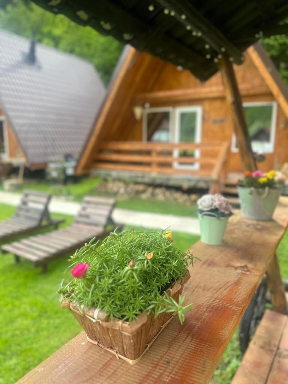 Rucăr Cabanutze Satic 빌라 외부 사진