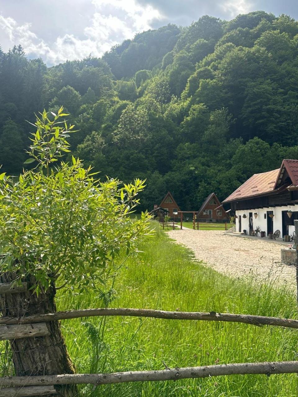 Rucăr Cabanutze Satic 빌라 외부 사진