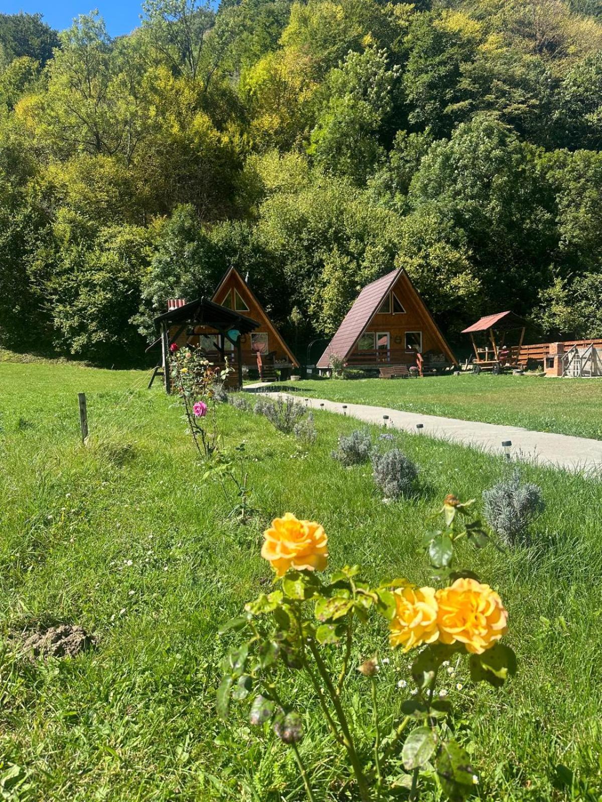 Rucăr Cabanutze Satic 빌라 외부 사진